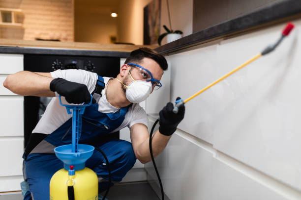 Best Pest Prevention Services  in Pelham Manor, NY